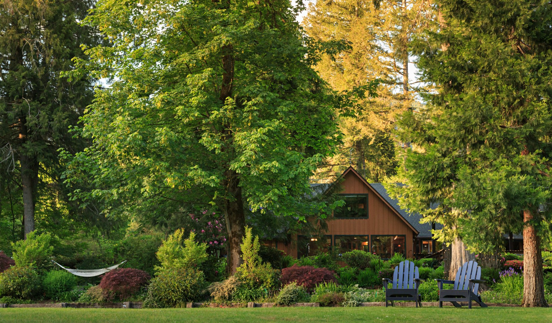 The lodge nestled amongst lush green trees and bushes with two Adirondack chairs in the grass.