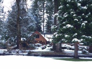 The Lodge amongst trees, bushes and the lawn covered in fresh, white snow. 
